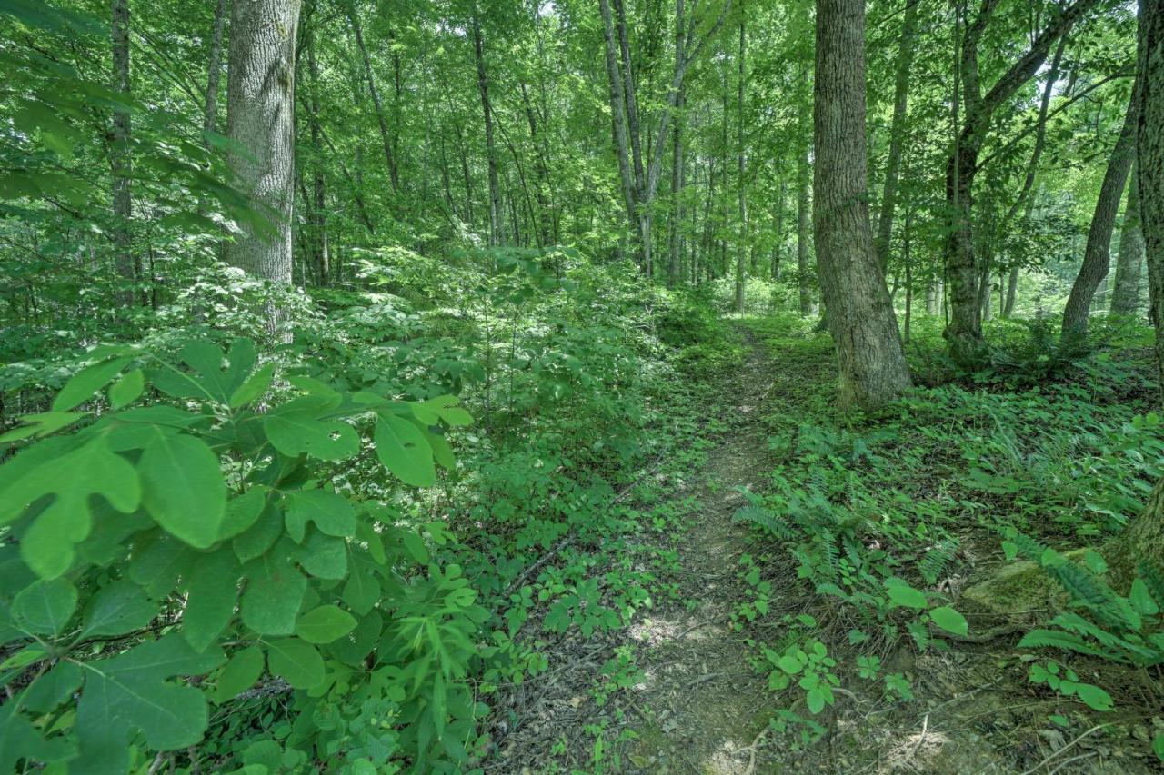 Historic Cabin Grill And Hiking Trail Access! Bryson City Eksteriør bilde